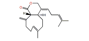 Deoxyxeniolide B